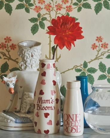 emma bridgewater lanza una nueva gama magnífica de primavera para 2021