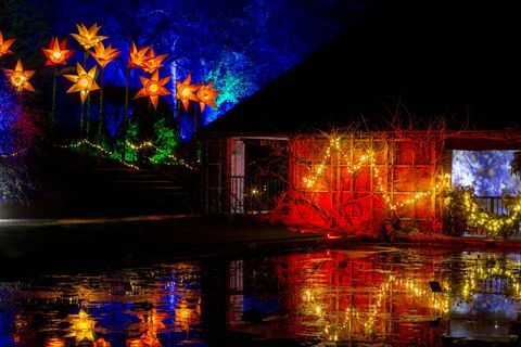 Evento RHS Garden Wisley Christmas Glow