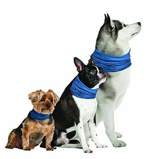 Collar de enfriamiento de perro K9 Chill para marcas novedosas (pequeño / mediano 8