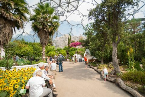 Eden Project visitantes dentro de una de las cúpulas de Gaint