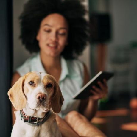 Mujer acariciando a su perro y usando la tableta mientras está sentada en el suelo