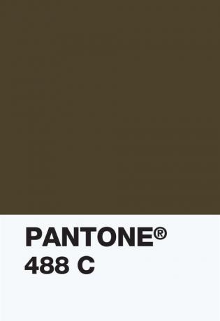 Pantone Color Institue - muestra de color 448c - opaco couché