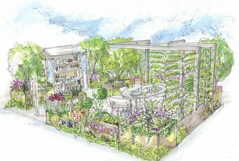 chelsea flower show 2021, el jardín de perejil diseñado por alan williams