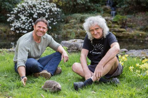 Steve Backshall, Brian May, Salvando a los erizos británicos