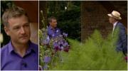 Controversia Chelsea Flower Show? Chris Beardshaw gana la medalla de plata dorada por Morgan Stanley Garden