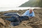 Sir David Attenborough respalda la iniciativa Plastic Watch de la BBC después del impacto 'asombroso' de Blue Planet II
