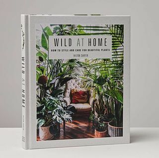 Salvaje en casa: libro de estilo y cuidado para plantas hermosas
