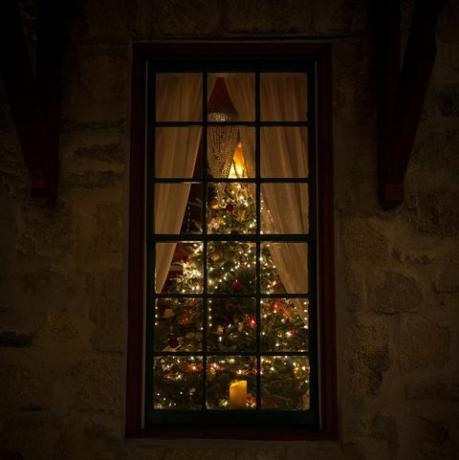 árbol de navidad en la ventana concurso de letras de navidad