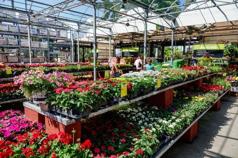 Miami, centro de jardinería en Home Depot