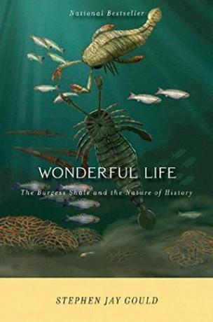 Wonderful Life: The Burgess Shale y la naturaleza de la historia