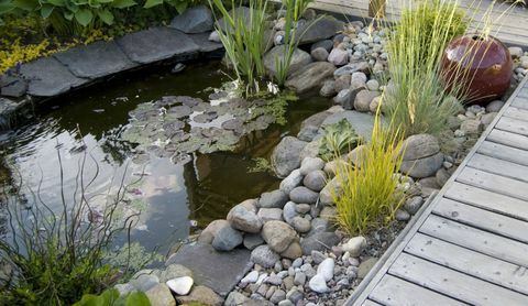 Un pequeño estanque y un patio con una sala de estar en un jardín.