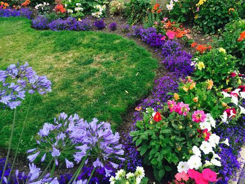 Cama de flores multicolores en jardín