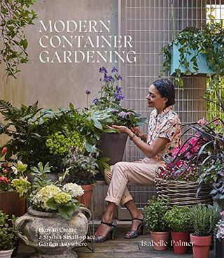 Jardinería moderna en contenedores: cómo crear un jardín elegante en espacios reducidos en cualquier lugar