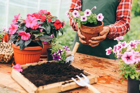 Hombre jardinería