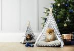 Compras especiales de Aldi: Aldi vende £ 39.99 Sofá cama para mascotas para Navidad