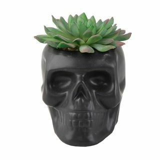 Calavera de cerámica negra mate suculenta