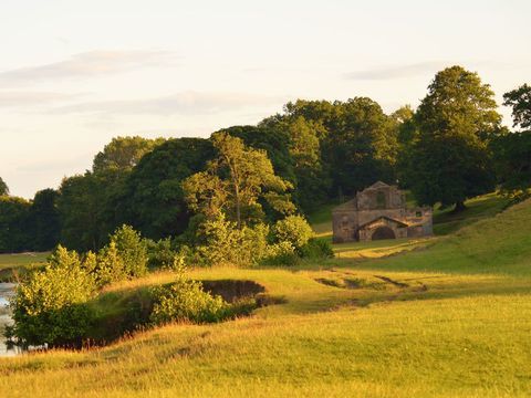 fotógrafo de jardín del año