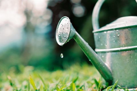 Regadera gotas de agua sobre el césped del jardín