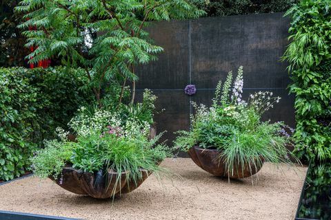 rhs chelsea flower show 2021 jardines de contenedores