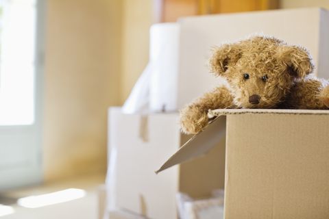 Foto de día en movimiento del oso de peluche