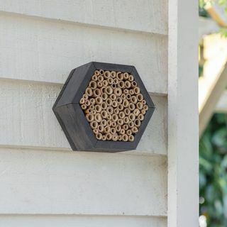 Casa de abejas hexagonal Shetland
