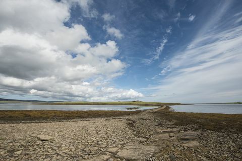 Enjambre de Grimbister - Escocia - Orkney - calzada - Savills