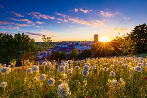 Puesta de sol de Sheffield