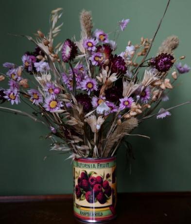 cailleach, dot y el diente de león, flores secas