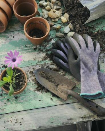 Herramientas de jardinería