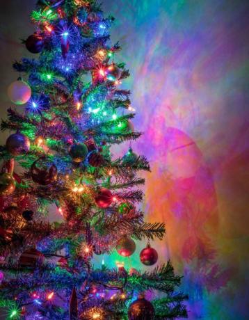 Árbol de navidad - luces multicolores