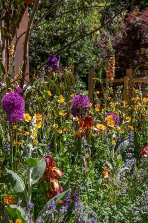 el jardín del taller de carrocería diseñado por jennifer hirsch rhs chelsea flower show 2022