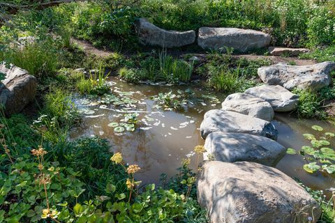 Jardín del 30 aniversario de Countryfile. Diseñado por: Ann-Marie Powell. Característica jardín. RHS Hampton Court Palace Flower Show 2018