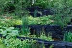 Cómo ganar oro en el Chelsea Flower Show