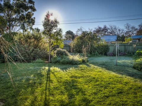 Amanecer en el jardín de invierno