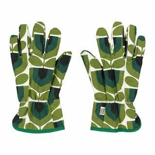 Guantes para macetas - Tulipán rayado