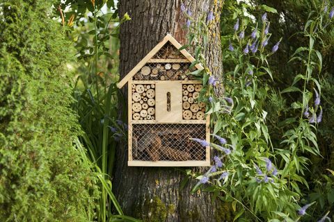 Bee hotel, casa de insectos