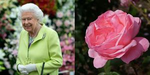 reina de las flores reales