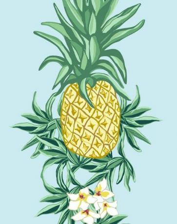 Pineapple Express de Nathan Turner - Sky