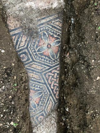 Suelos de mosaico estampados desenterrados debajo de un viñedo en Italia