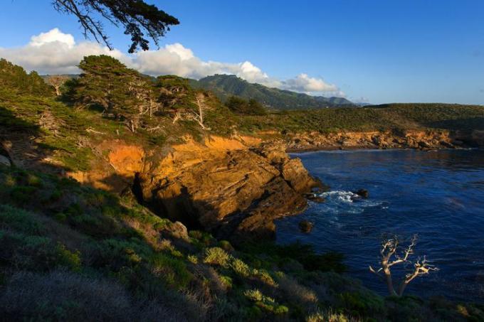 california, estados unidos, estados unidos de américa, reserva natural del estado de point lobos, carretera del pacífico, costa y mar