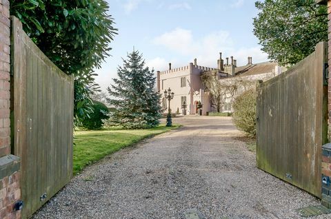 Imagen exterior de un hermoso castillo rosa en venta