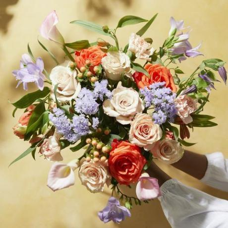 floración y flores silvestres del día de san valentín