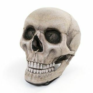 Silla Skull Bean Bag