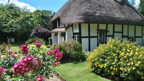 Peppercorn Cottage - Dorset - flores - OnTheMarket.com