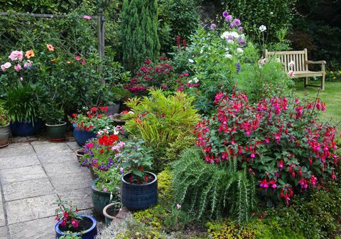 Flores brillantes en el jardín inglés con macetas y parterres.