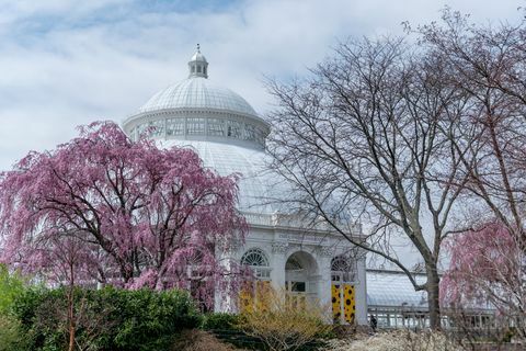 enid a haupt conservatory nybg jardín botánico de nueva york