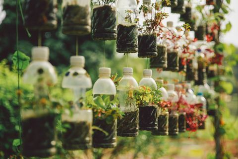 Plantas que crecen en botellas de plástico colgando en el jardín