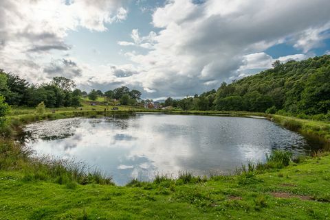 Parque de vida salvaje en venta en Escocia 