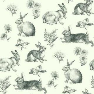 Inspirado por Color Bunny Toile At4263 fondo de pantalla