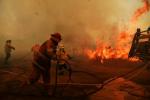 Cómo ayudar a las víctimas de incendios de Australia, animales, koalas, evacuados, bomberos